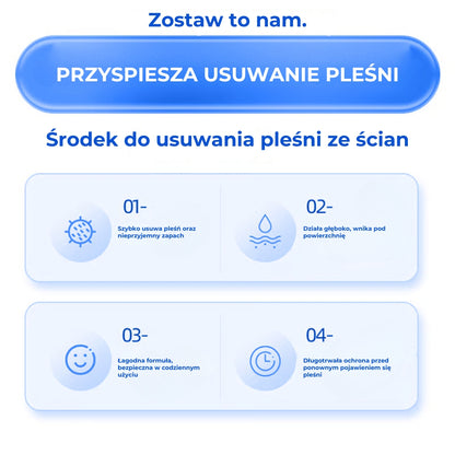 Szybko działający spray przeciw pleśni do krawędzi ścian