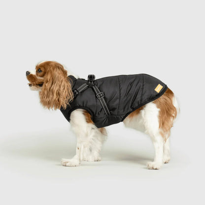 DoggyKings™ płaszcz dla psów (3 w 1)