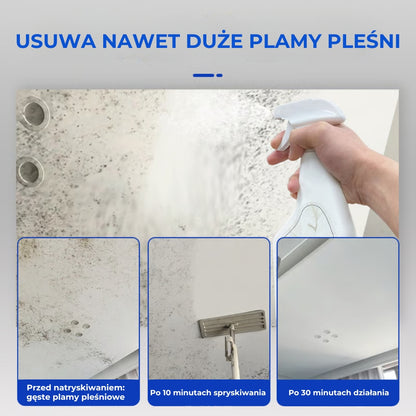 Szybko działający spray przeciw pleśni do krawędzi ścian