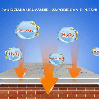 Szybko działający spray przeciw pleśni do krawędzi ścian