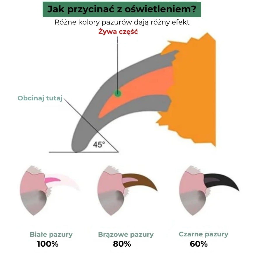 Profesjonalne cążki LED do pazurów zwierząt domowych