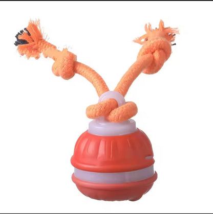 Interaktywna piłka dla psów