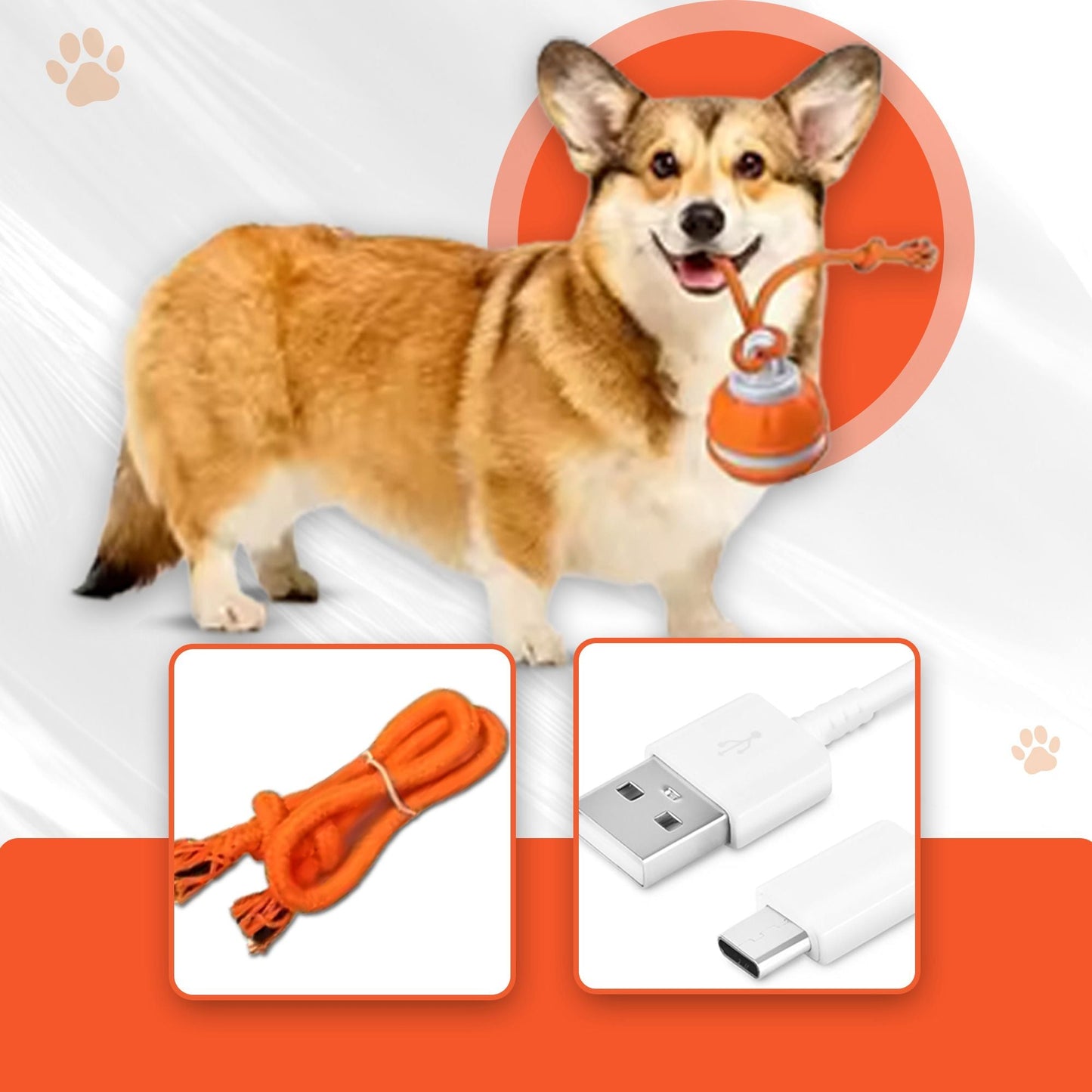 Interaktywna piłka dla psów